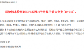 妈妈62岁，肺腺癌，肺内、椎骨、左肾转移，EGFR19缺失突变。求的治疗方案？